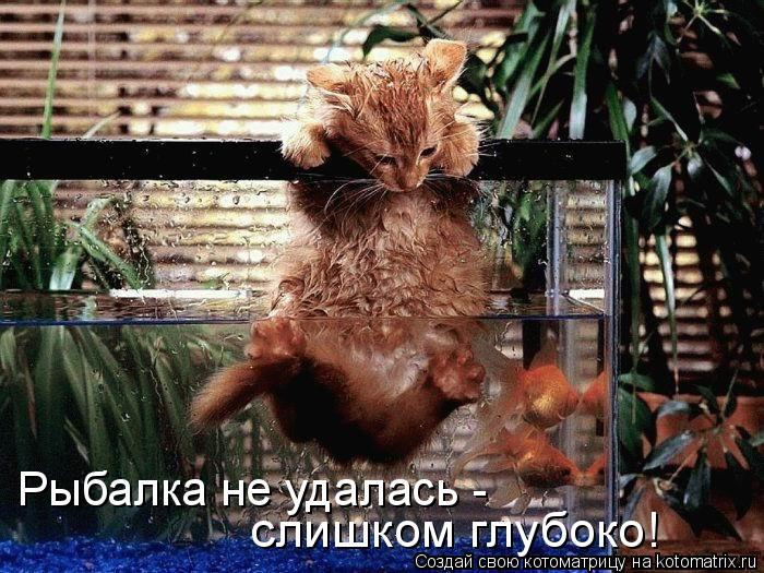 Котоматрица: Рыбалка не удалась -   слишком глубоко!