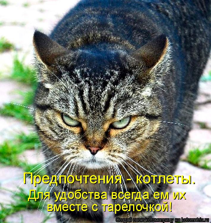 Котоматрица: Предпочтения - котлеты.  Для удобства всегда ем их   вместе с тарелочкой!