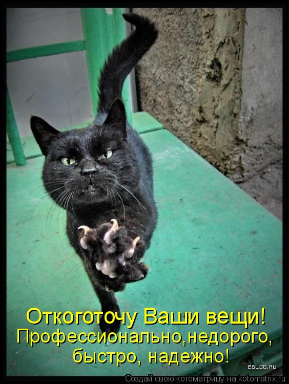 Котоматрица: Профессионально,недорого, быстро, надежно!  Откоготочу Ваши вещи!
