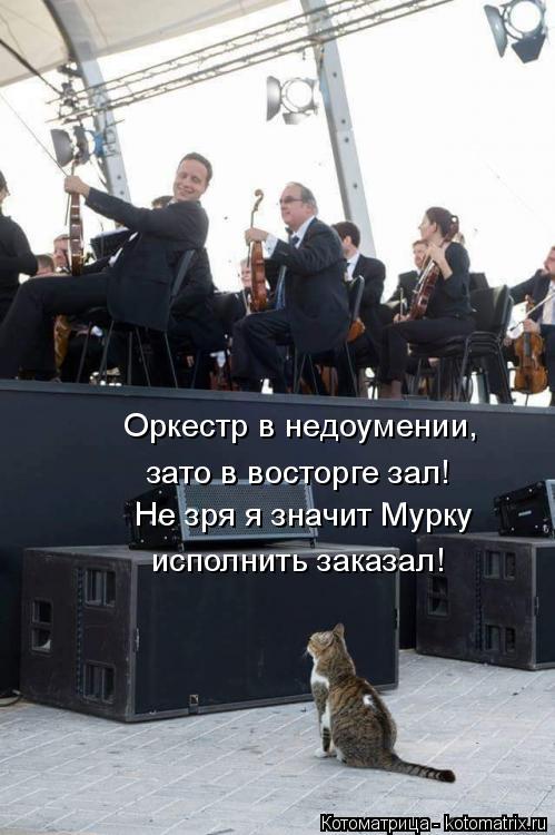 Котоматрица: Не зря я значит Мурку исполнить заказал! Оркестр в недоумении, зато в восторге зал!