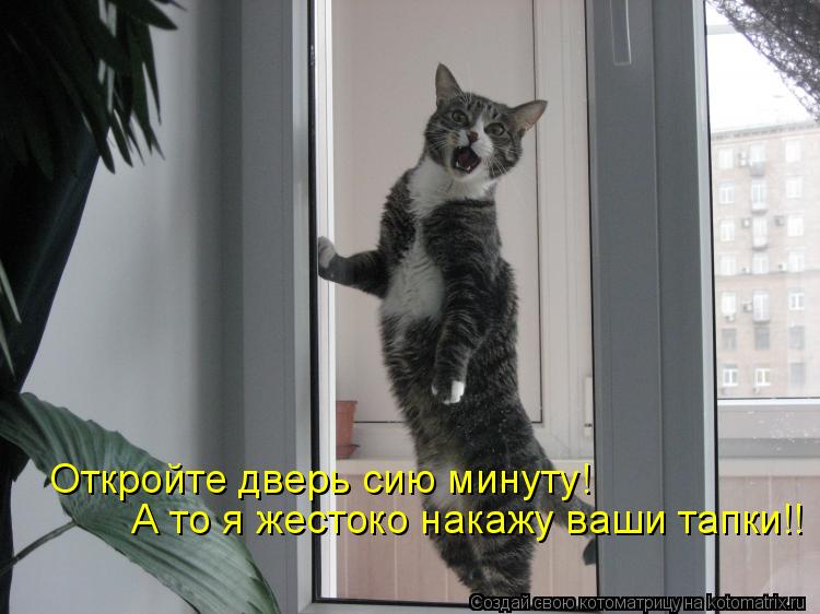 Котоматрица: Откройте дверь сию минуту! А то я жестоко накажу ваши тапки!!