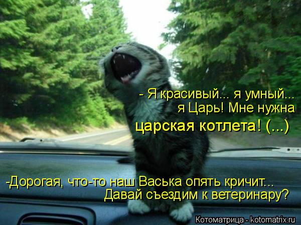 Котоматрица: Давай съездим к ветеринару? -Дорогая, что-то наш Васька опять кричит... - Я красивый... я умный... я Царь! Мне нужна  царская котлета! (...)