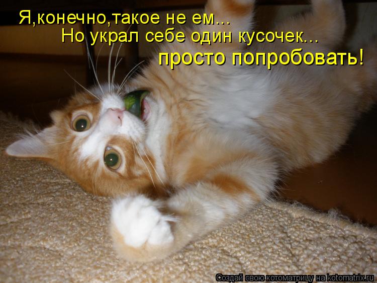 Котоматрица: Я,конечно,такое не ем... Но украл себе один кусочек... просто попробовать!