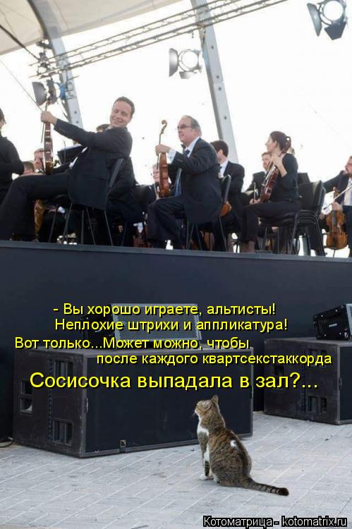 Котоматрица: - Вы хорошо играете, альтисты!  Неплохие штрихи и аппликатура!  Вот только...Может можно, чтобы после каждого квартсекстаккорда Сосисочка вып
