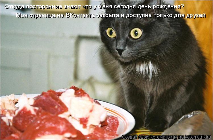 Котоматрица: Откуда посторонние знают что у меня сегодня день рождения? Моя страница на ВКонтакте закрыта и доступна только для друзей