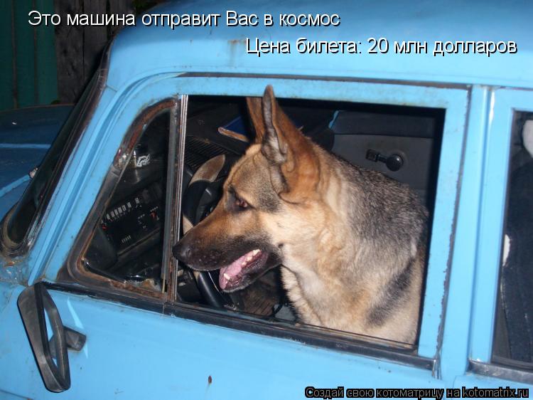 Котоматрица: Это машина отправит Вас в космос Цена билета: 20 млн долларов