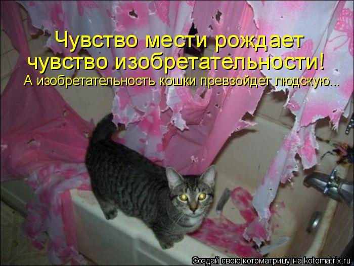 Котоматрица: Чувство мести рождает  чувство изобретательности!  А изобретательность кошки превзойдет людскую...