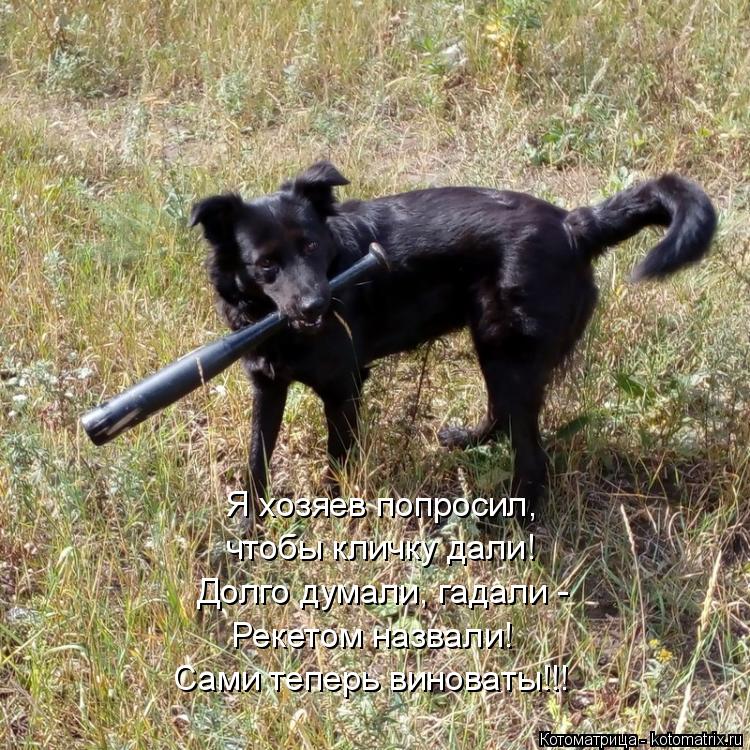 Котоматрица: Я хозяев попросил, чтобы кличку дали! Долго думали, гадали - Рекетом назвали! Сами теперь виноваты!!!