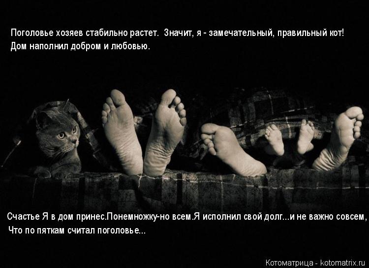 Поголовье хозяев стабильно растет. Значит, я - замечательный, правильный кот! Дом наполнил добром и ... Котоматрица: Поголовье хозяев стабильно растет. Значит, я - замечательный, правильный кот! Дом наполнил добром и любовью. Счастье Я в дом принес.Понемнож