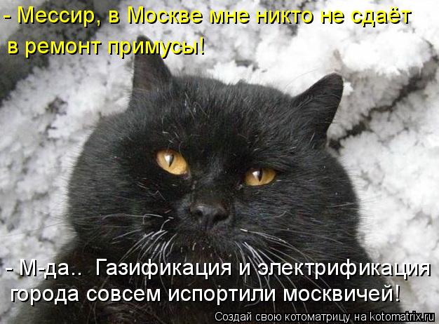 Котоматрица: - Мессир, в Москве мне никто не сдаёт в ремонт примусы! - М-да..  Газификация и электрификация  города совсем испортили москвичей!