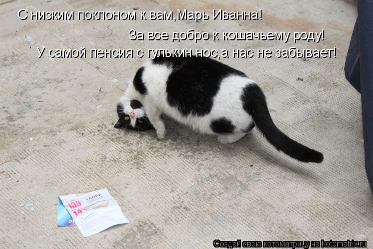 Котоматрица: С низким поклоном к вам,Марь Иванна! За все добро к кошачьему роду! У самой пенсия с гулькин нос,а нас не забывает!