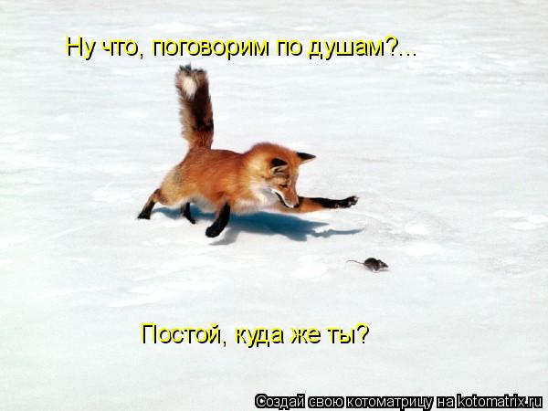 Котоматрица: Ну что, поговорим по душам?... Постой, куда же ты?