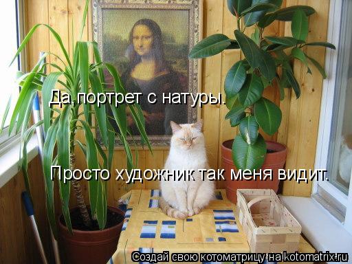 Котоматрица: Да,портрет с натуры. Просто художник так меня видит.