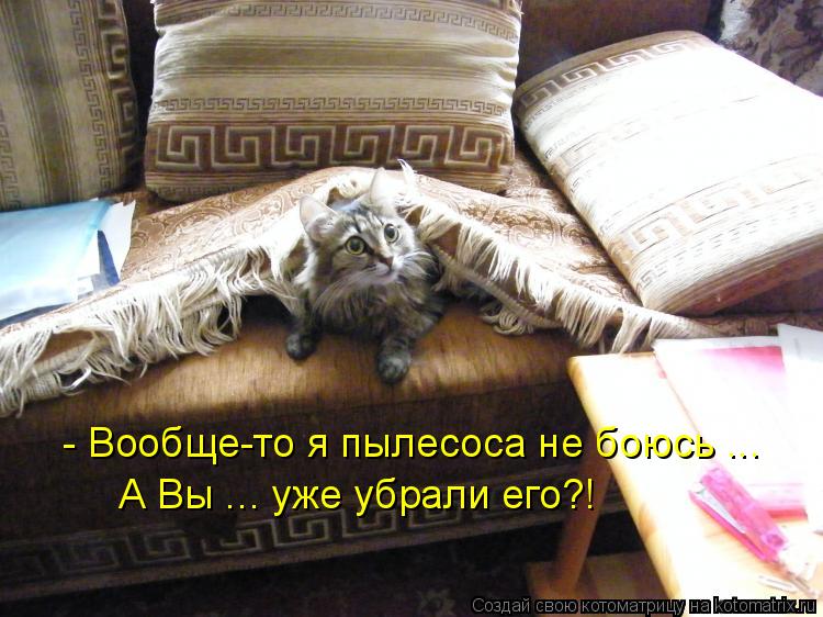 - Вообще-то я пылесоса не боюсь ... А Вы ... уже убрали его?!... Котоматрица: - Вообще-то я пылесоса не боюсь ... А Вы ... уже убрали его?!