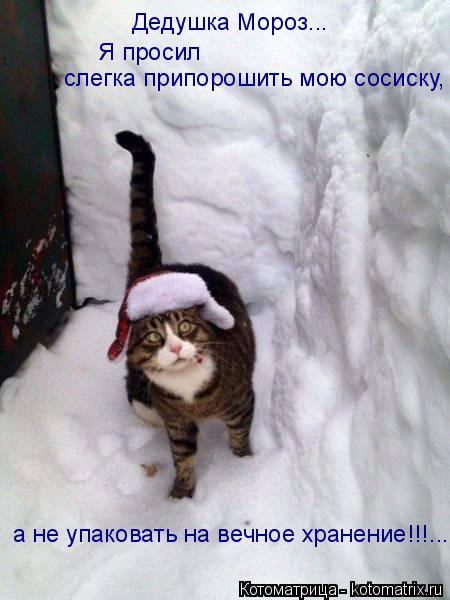 слегка припорошить мою сосиску, Я просил Дедушка Мороз... а не упаковать на вечное хранение!!!...... Котоматрица: слегка припорошить мою сосиску, Я просил Дедушка Мороз... а не упаковать на вечное хранение!!!...