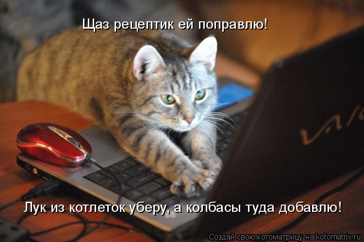 Котоматрица: Щаз рецептик ей поправлю! Лук из котлеток уберу, а колбасы туда добавлю!