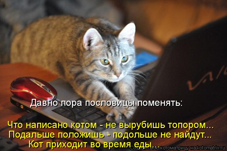Что написано котом - не вырубишь топором... Кот приходит во время еды... Давно пора пословицы поменят... Котоматрица: Что написано котом - не вырубишь топором... Кот приходит во время еды... Давно пора пословицы поменять: Подальше положишь - подольше не найдут.