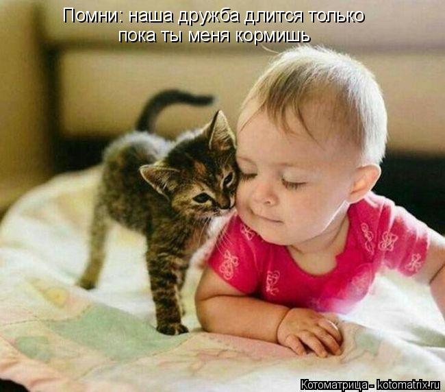 Помни: наша дружба длится только Помни: наша дружба длится только пока ты меня кормишь... Котоматрица: Помни: наша дружба длится только Помни: наша дружба длится только пока ты меня кормишь