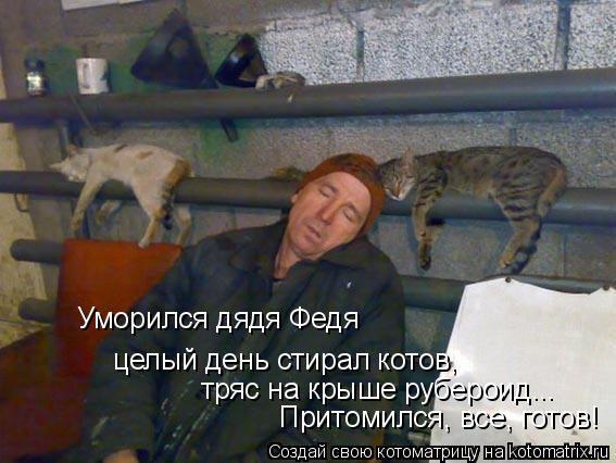 Уморился дядя Федя целый день стирал котов, тряс на крыше рубероид... Притомился, все, готов!... Котоматрица: Уморился дядя Федя целый день стирал котов, тряс на крыше рубероид... Притомился, все, готов!