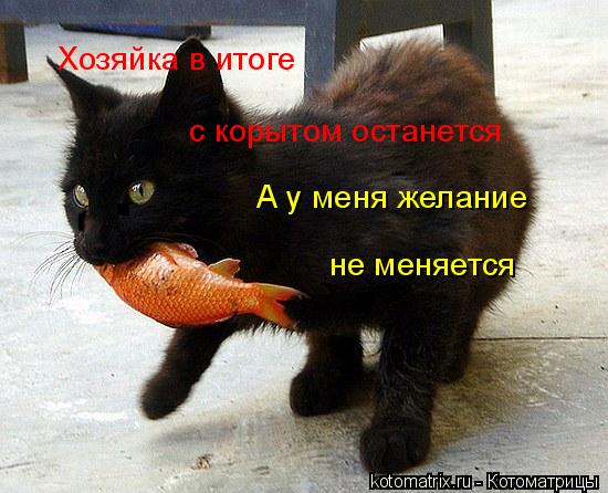 Хозяйка в итоге с корытом останется А у меня желание не меняется... Котоматрица: Хозяйка в итоге с корытом останется А у меня желание не меняется