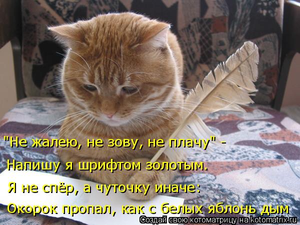 "Не жалею, не зову, не плачу" - Напишу я шрифтом золотым. Я не спёр, а чуточку иначе: Окорок пропал, ... Котоматрица: "Не жалею, не зову, не плачу" - Напишу я шрифтом золотым. Я не спёр, а чуточку иначе: Окорок пропал, как с белых яблонь дым