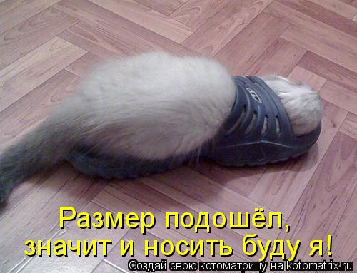 значит и носить буду я! Размер подошёл,... Котоматрица: значит и носить буду я! Размер подошёл,