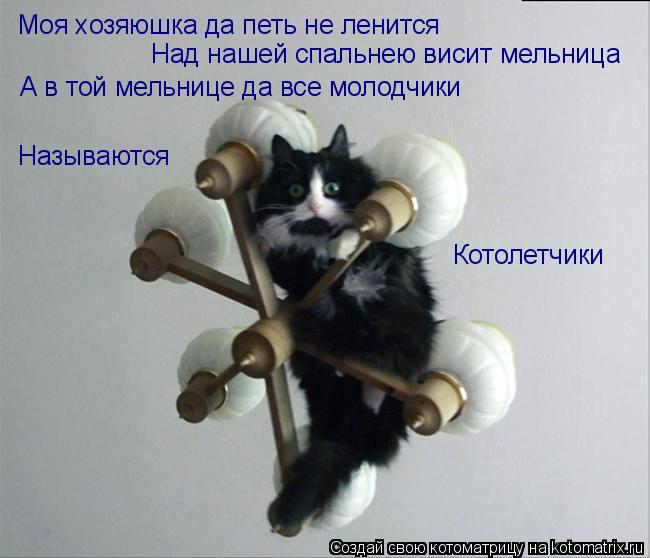 Моя хозяюшка да петь не ленится Над нашей спальнею висит мельница А в той мельнице да все молодчики Н... Котоматрица: Моя хозяюшка да петь не ленится Над нашей спальнею висит мельница А в той мельнице да все молодчики Называются Котолетчики