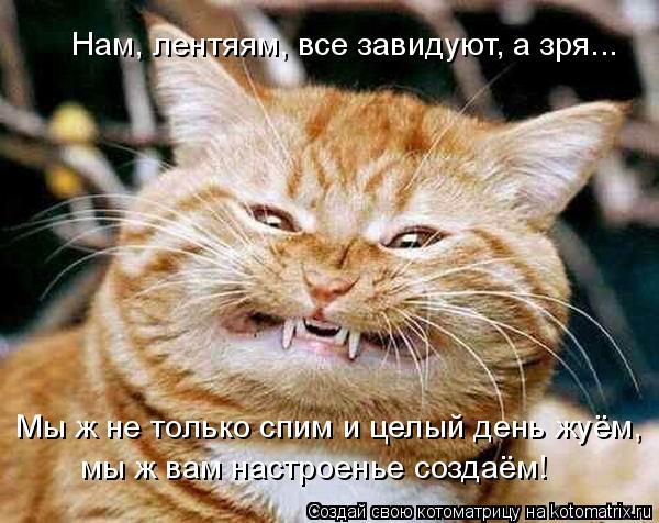 Нам, лентяям, все завидуют, а зря... Мы ж не только спим и целый день жуём, мы ж вам настроенье созда... Котоматрица: Нам, лентяям, все завидуют, а зря... Мы ж не только спим и целый день жуём, мы ж вам настроенье создаём!