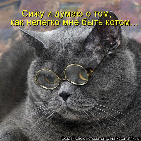 как нелегко мне быть котом... Сижу и думаю о том,... Котоматрица: как нелегко мне быть котом... Сижу и думаю о том,