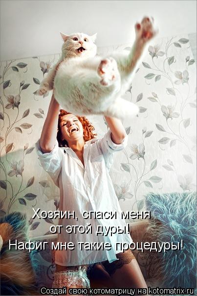 Хозяин, спаси меня от этой дуры! Нафиг мне такие процедуры!... Котоматрица: Хозяин, спаси меня от этой дуры! Нафиг мне такие процедуры!