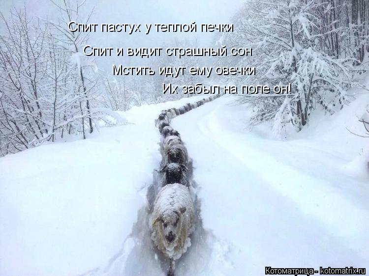 Спит пастух у теплой печки Спит и видит страшный сон Мстить идут ему овечки Их забыл на поле он!... Котоматрица: Спит пастух у теплой печки Спит и видит страшный сон Мстить идут ему овечки Их забыл на поле он!