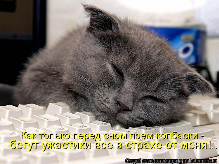 бегут ужастики все в страхе от меня!.. Как только перед сном поем колбаски -... Котоматрица: бегут ужастики все в страхе от меня!.. Как только перед сном поем колбаски -