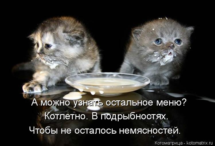 А можно узнать остальное меню? Котлетно. В подрыбностях. Чтобы не осталось немясностей.... Котоматрица: А можно узнать остальное меню? Котлетно. В подрыбностях. Чтобы не осталось немясностей.