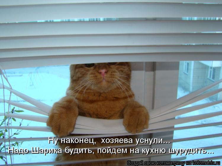 Ну наконец, хозяева уснули... Надо Шарика будить, пойдем на кухню шурудить...... Котоматрица: Ну наконец, хозяева уснули... Надо Шарика будить, пойдем на кухню шурудить...