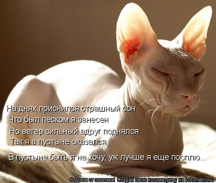 Котоматрица: На днях приснился страшный сон Что был песком я занесен Но ветер сильный вдруг поднялся Так я в пустыне оказался В пустыне быть я не хочу, уж