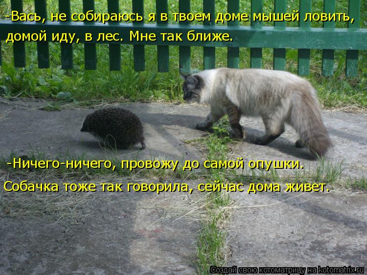 -Вась, не собираюсь я в твоем доме мышей ловить, домой иду, в лес. Мне так ближе. -Ничего-ничего, пр... Котоматрица: -Вась, не собираюсь я в твоем доме мышей ловить, домой иду, в лес. Мне так ближе. -Ничего-ничего, провожу до самой опушки. Собачка тоже так гов?
