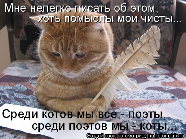 Котоматрица: Мне нелегко писать об этом, хоть помыслы мои чисты... среди поэтов мы - коты... Среди котов мы все - поэты,