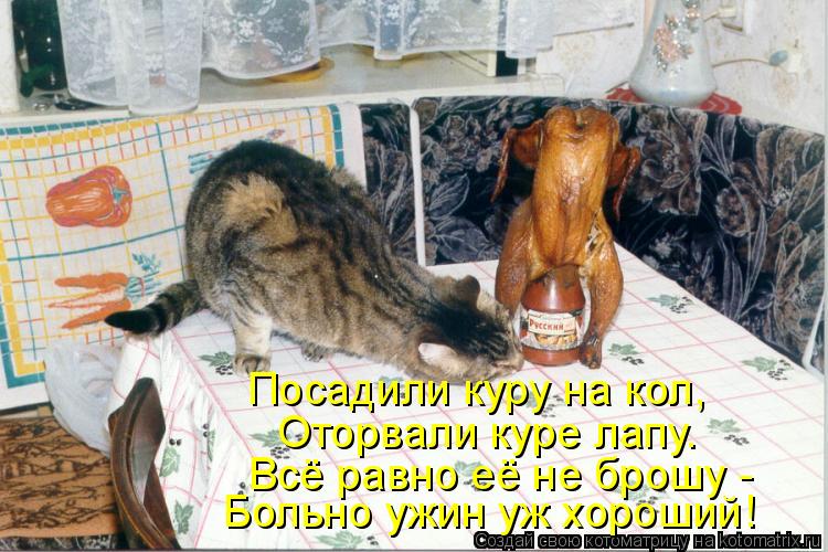 Посадили куру на кол, Оторвали куре лапу. Всё равно её не брошу - Больно ужин уж хороший!... Котоматрица: Посадили куру на кол, Оторвали куре лапу. Всё равно её не брошу - Больно ужин уж хороший!