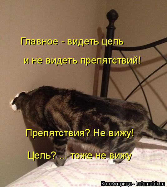 Главное - видеть цель и не видеть препятствий! Препятствия? Не вижу! Цель? ... тоже не вижу... Котоматрица: Главное - видеть цель и не видеть препятствий! Препятствия? Не вижу! Цель? ... тоже не вижу
