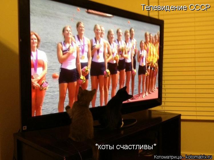 Котоматрица: Телевидение СССР *коты счастливы*