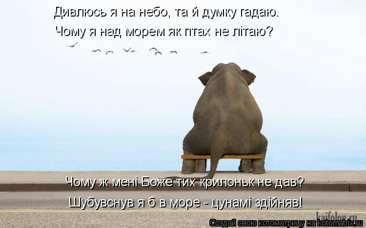 Дивлюсь я на небо, та й думку гадаю. Чому ж мені Боже тих крилоньк не дав? Шубувснув я б в море - цу... Котоматрица: Дивлюсь я на небо, та й думку гадаю. Чому ж мені Боже тих крилоньк не дав? Шубувснув я б в море - цунамі здійняв! Чому я над морем як птах не літ
