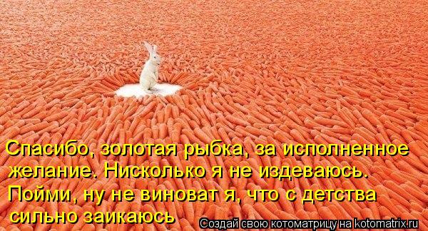 Котоматрица: Спасибо, золотая рыбка, за исполненное желание. Нисколько я не издеваюсь. Пойми, ну не виноват я, что с детства сильно заикаюсь