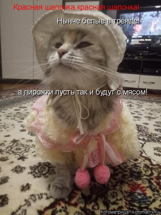 Котоматрица: Красная шапочка,красная шапочка! Нынче белые в тренде! ...а пирожки пусть так и будут с мясом!