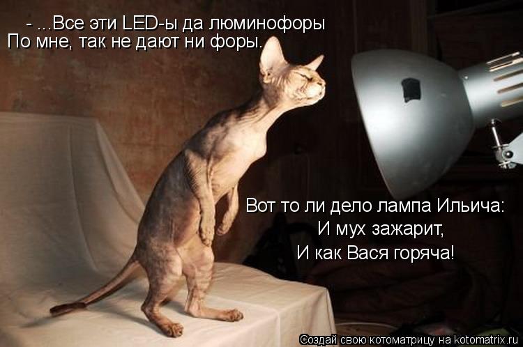 Котоматрица: - ...Все эти LED-ы да люминофоры По мне, так не дают ни форы. Вот то ли дело лампа Ильича: И мух зажарит, И как Вася горяча!