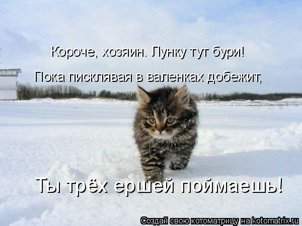 Короче, хозяин. Лунку тут бури! Пока писклявая в валенках добежит, Ты трёх ершей поймаешь!... Котоматрица: Короче, хозяин. Лунку тут бури! Пока писклявая в валенках добежит, Ты трёх ершей поймаешь!