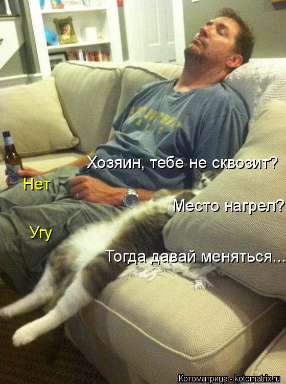 Хозяин, тебе не сквозит? Нет Место нагрел? Угу Тогда давай меняться...... Котоматрица: Хозяин, тебе не сквозит? Нет Место нагрел? Угу Тогда давай меняться...