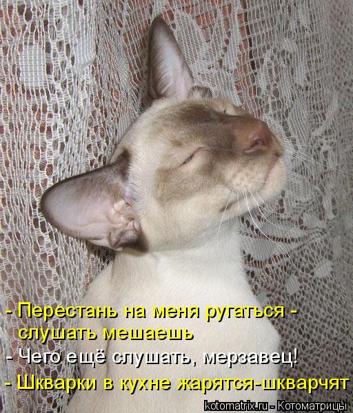 - Перестань на меня ругаться - слушать мешаешь - Чего ещё слушать, мерзавец! - Шкварки в кухне жарят... Котоматрица: - Перестань на меня ругаться - слушать мешаешь - Чего ещё слушать, мерзавец! - Шкварки в кухне жарятся-шкварчят