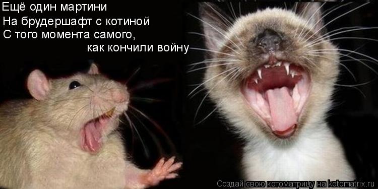Ещё один мартини На брудершафт с котиной С того момента самого, как кончили войну... Котоматрица: Ещё один мартини На брудершафт с котиной С того момента самого, как кончили войну