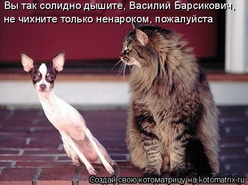 Вы так солидно дышите, Василий Барсикович, не чихните только ненароком, пожалуйста... Котоматрица: Вы так солидно дышите, Василий Барсикович, не чихните только ненароком, пожалуйста