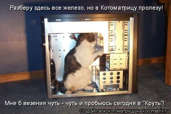 Разберу здесь все железо, но в Котоматрицу пролезу! Мне б везения чуть - чуть и пробьюсь сегодня в "К... Котоматрица: Разберу здесь все железо, но в Котоматрицу пролезу! Мне б везения чуть - чуть и пробьюсь сегодня в "Круть"!